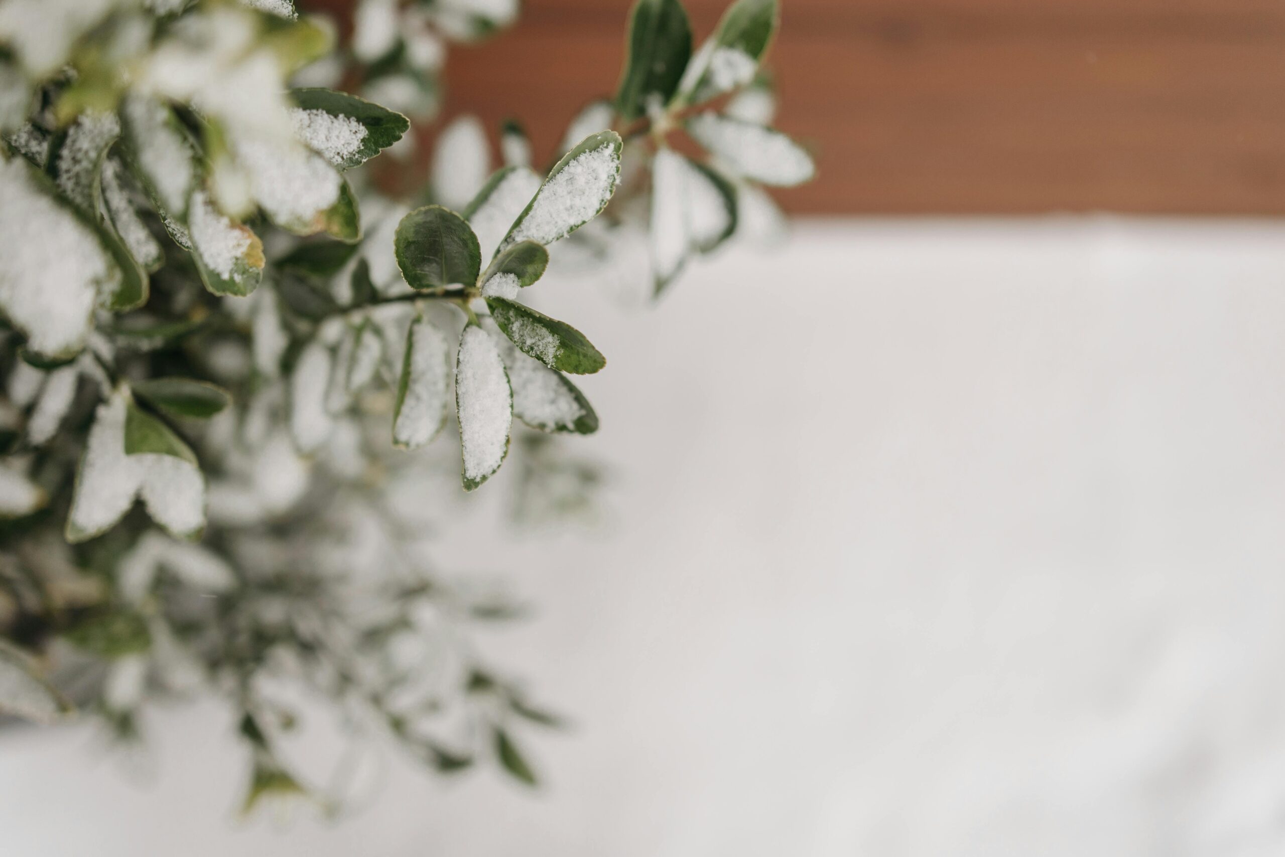 one day at a time gambling recovery