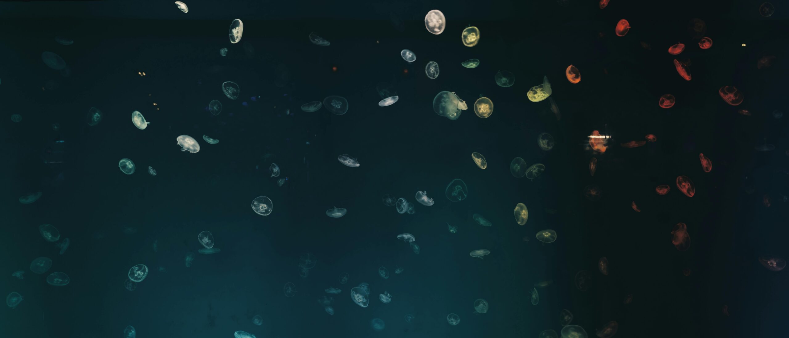 almost relapsing after quitting gambling