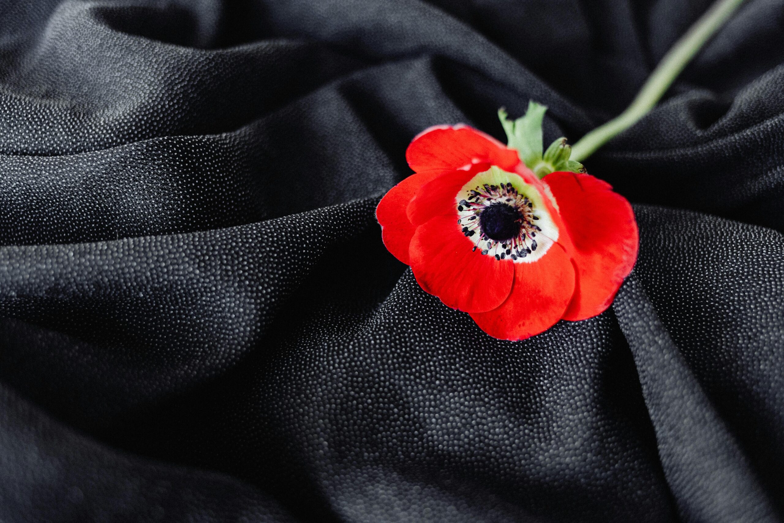 dating and gambling recovery