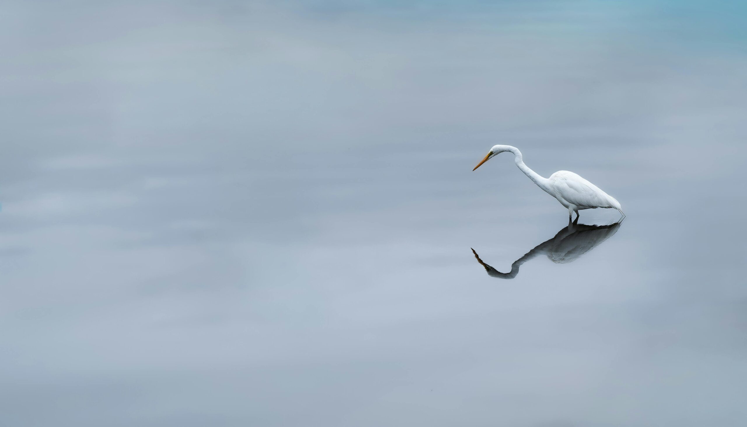 why recovery feels boring after quitting gambling