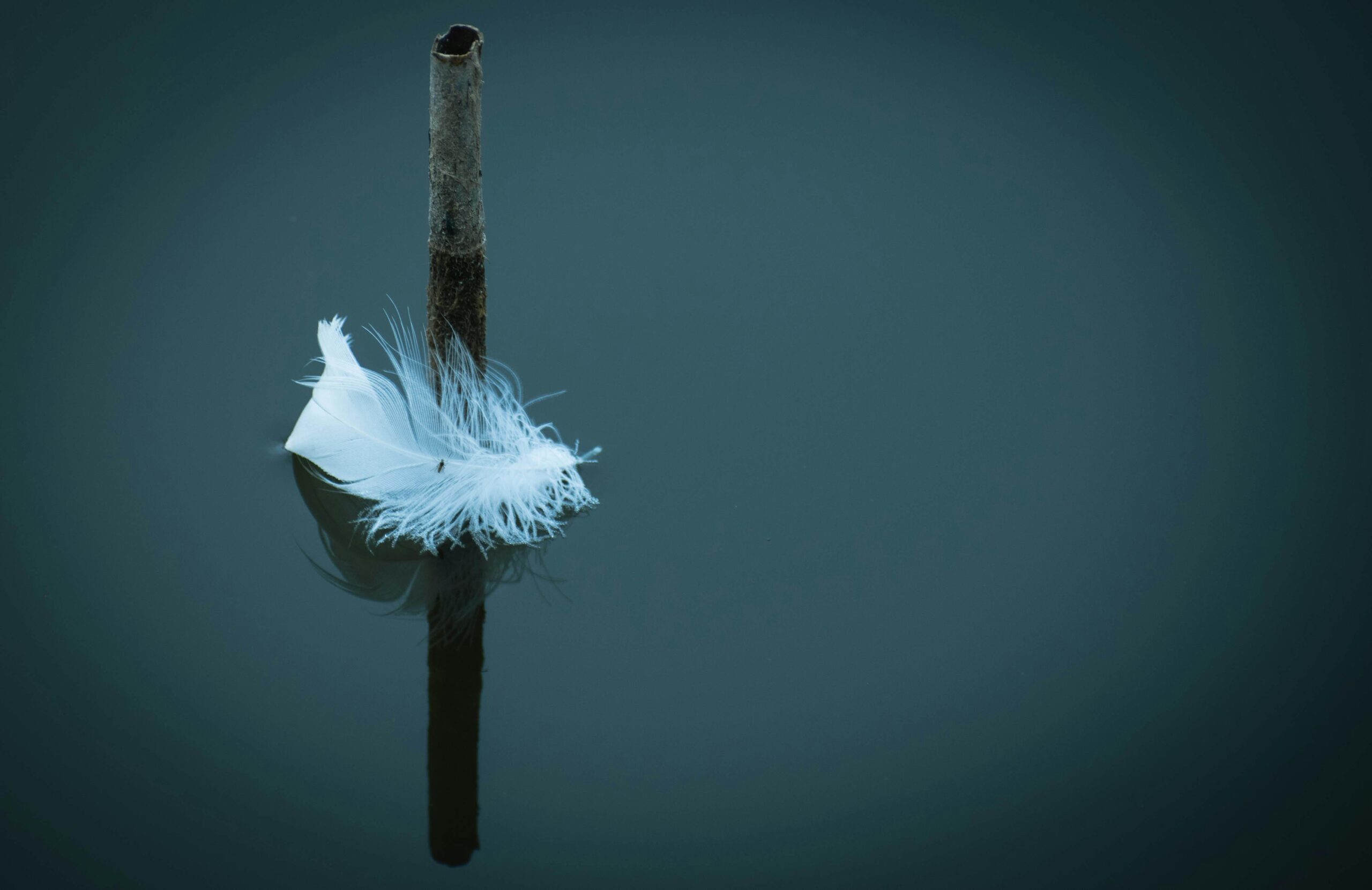 rebuilding routine after gambling