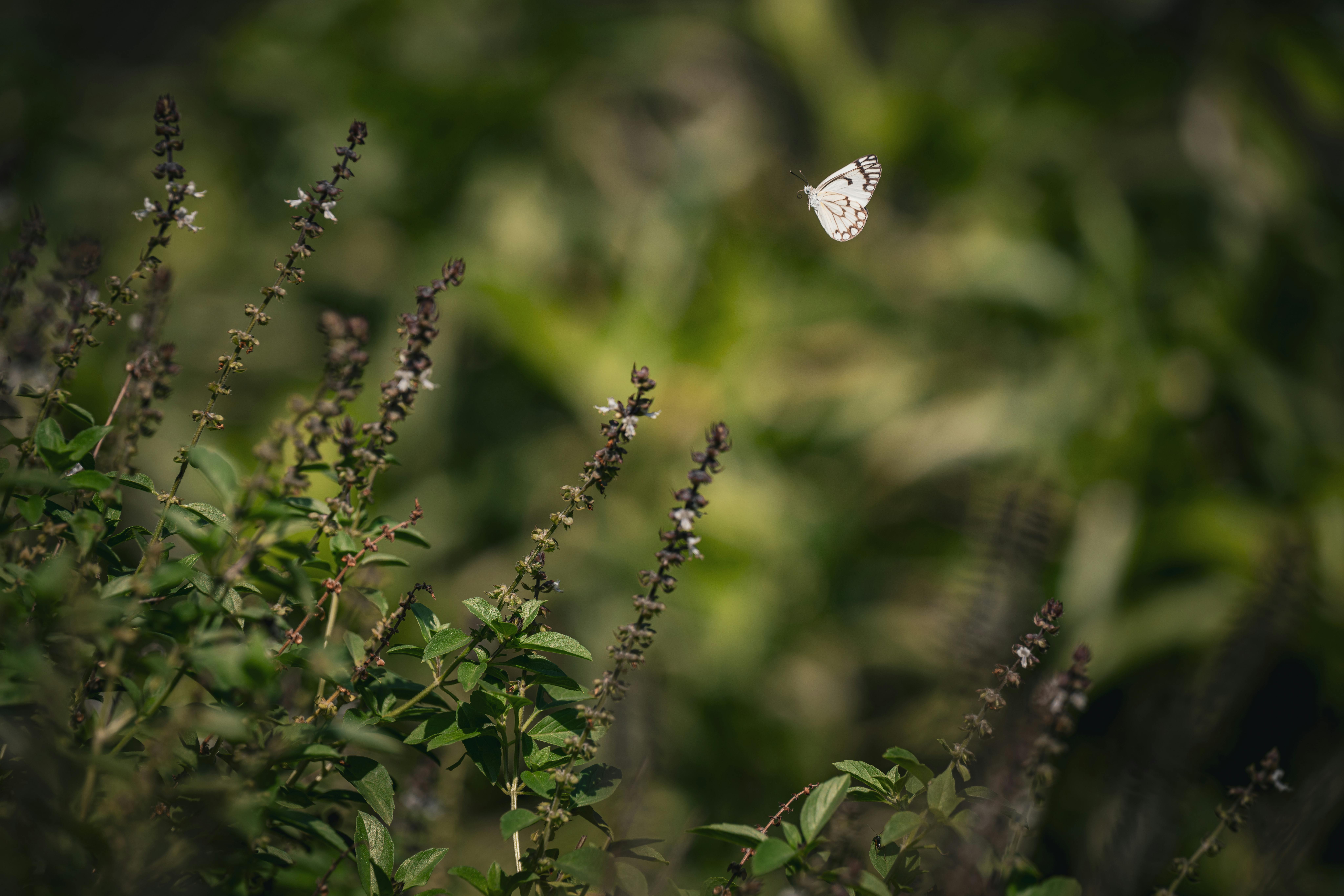 letting go of your old self in gambling recovery