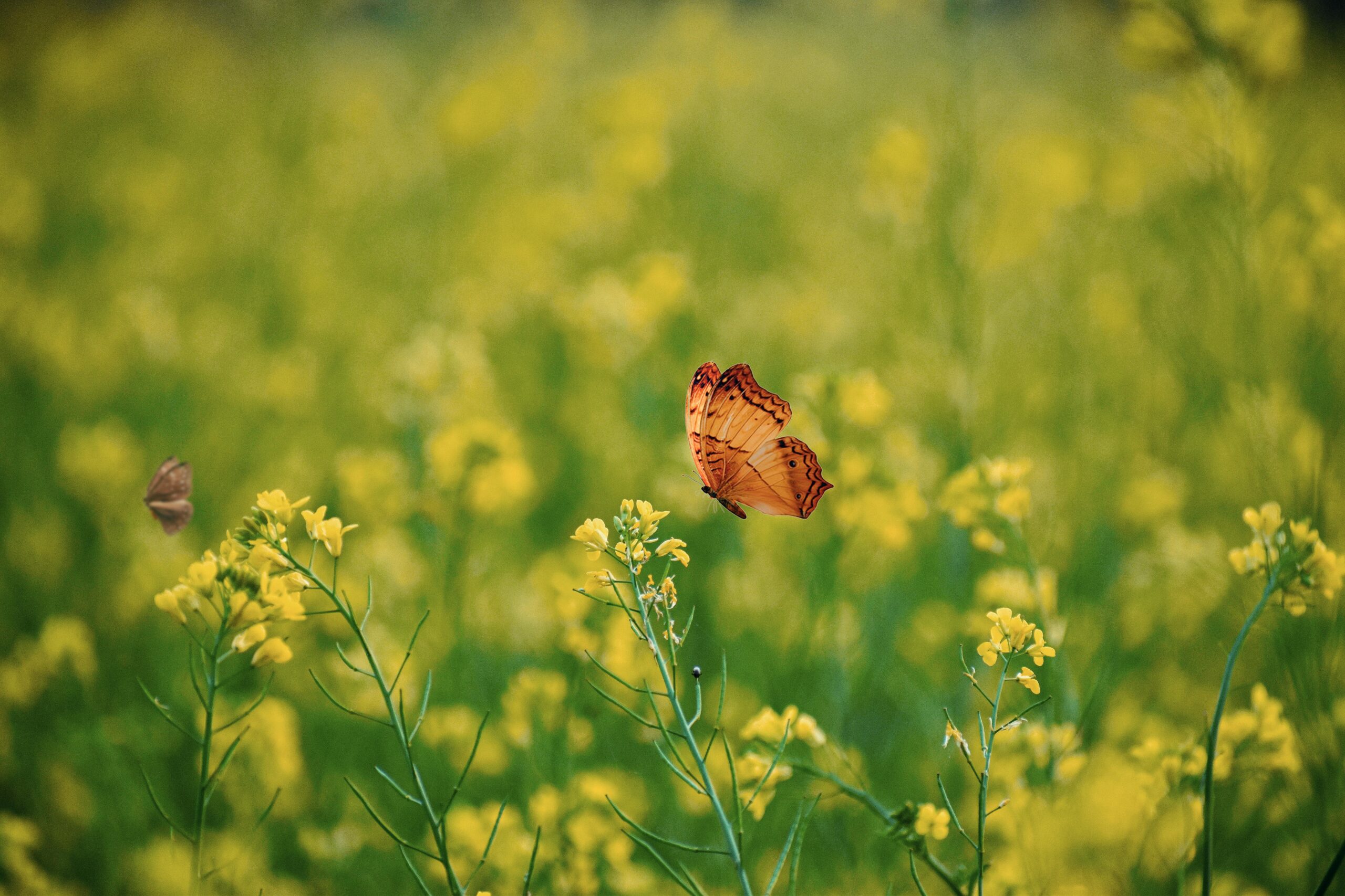 when recovery becomes routine